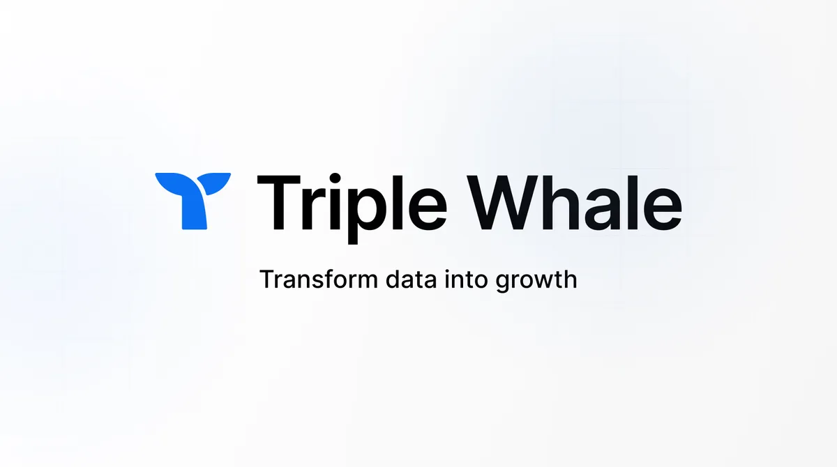 Alternatives to Triple Whale